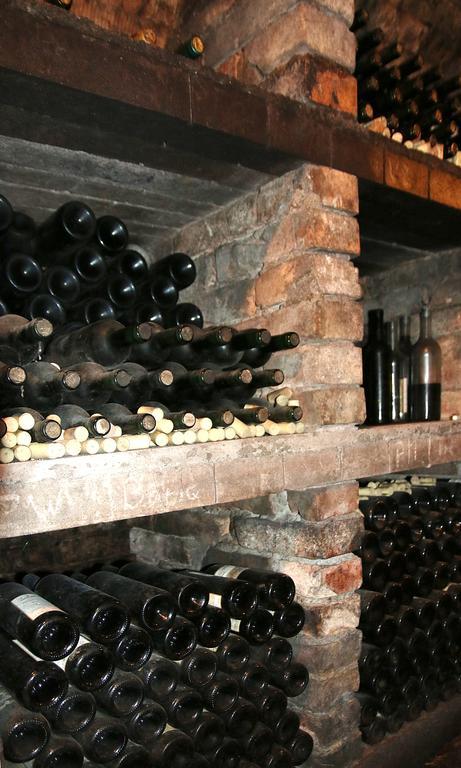 Penzion A Restaurace U Hroznu Velke Bilovice Bagian luar foto